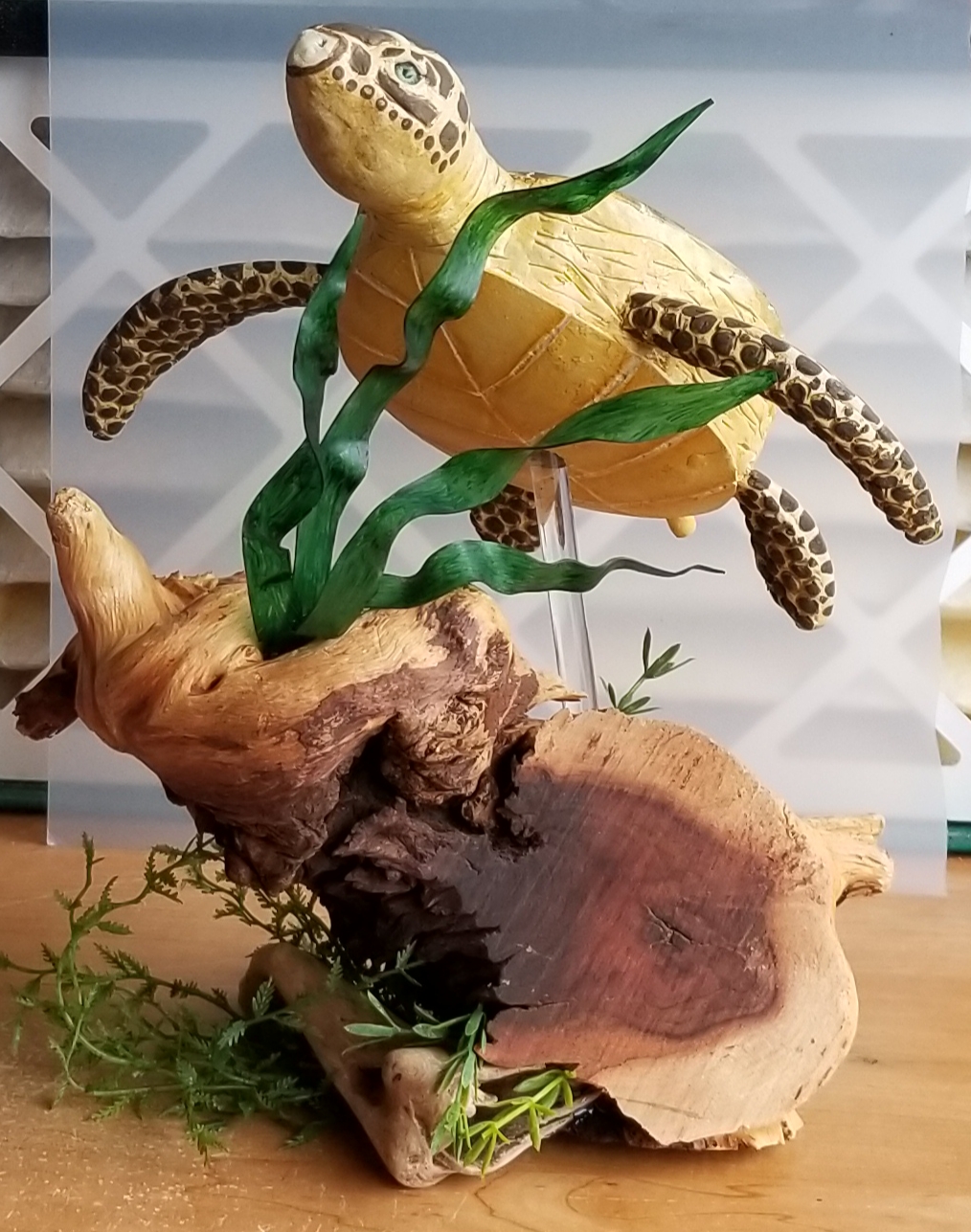 Sea Turtle